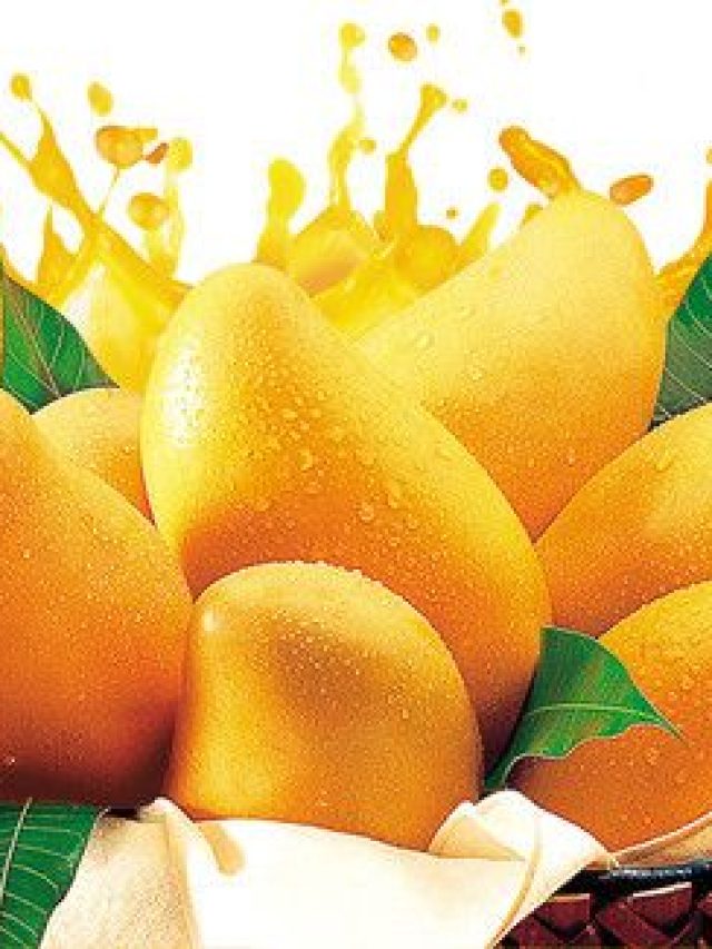 mango benefits